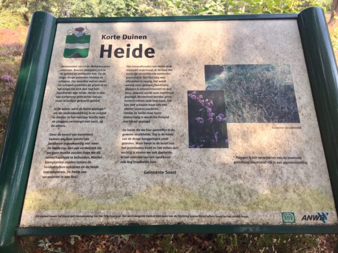 オランダで見つけた Heide ハイデ Mooi Holland